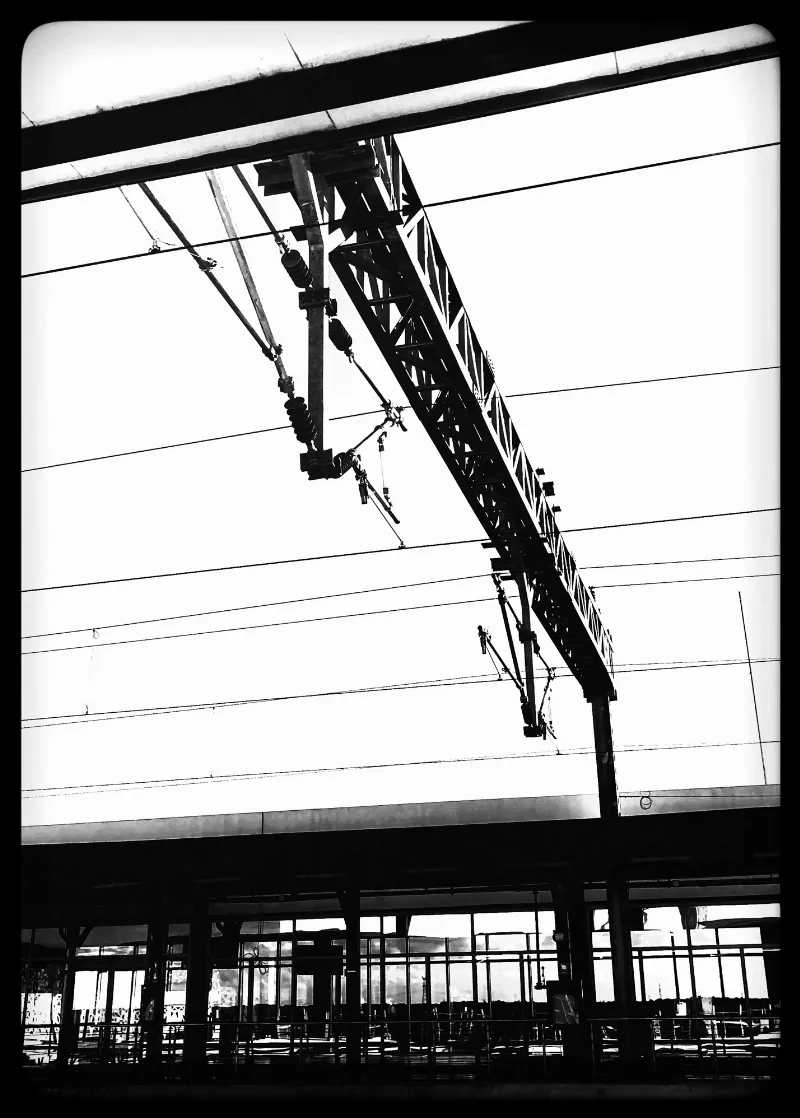 Maya Catenary