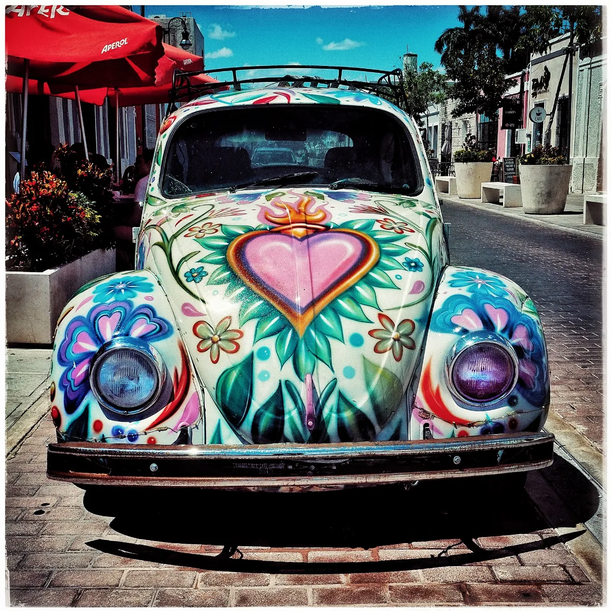Yucatan Floral Beetle