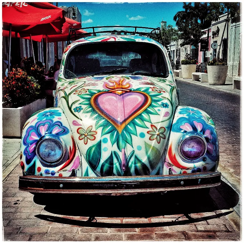 Yucatan Floral Beetle