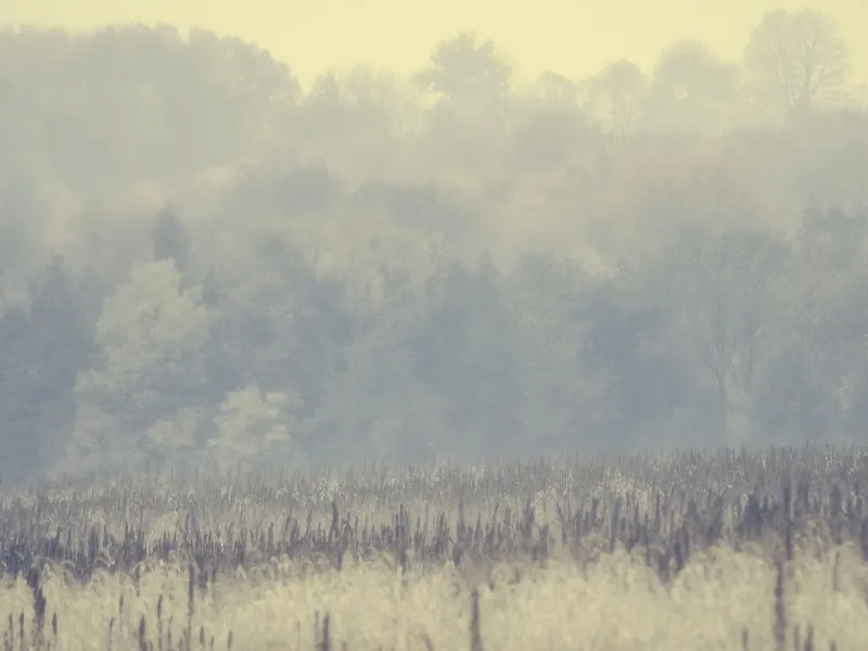 Abstract And Artistic photography in Bannockburn, Ontario
