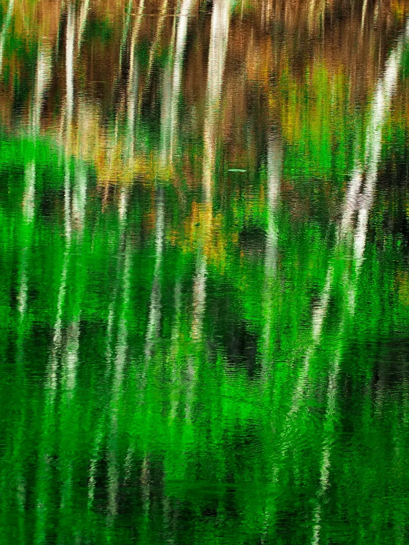 Abstract And Artistic photography in Benmiller, Ontario