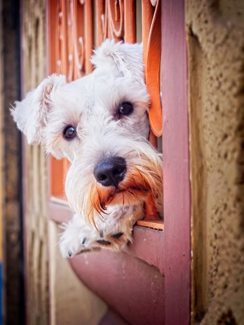 Animal And Wildlife photography in Leon