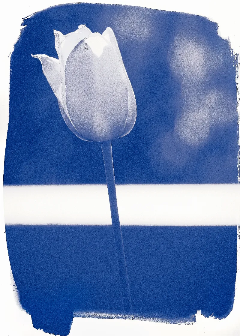 Botanical Life photography in Kincardine, Ontario