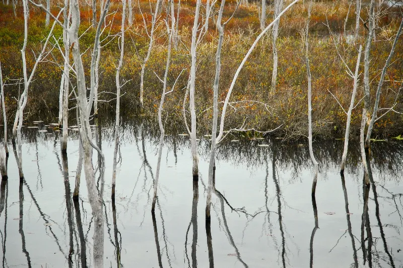 Scenic Landscapes photography in Wiarton, Ontario