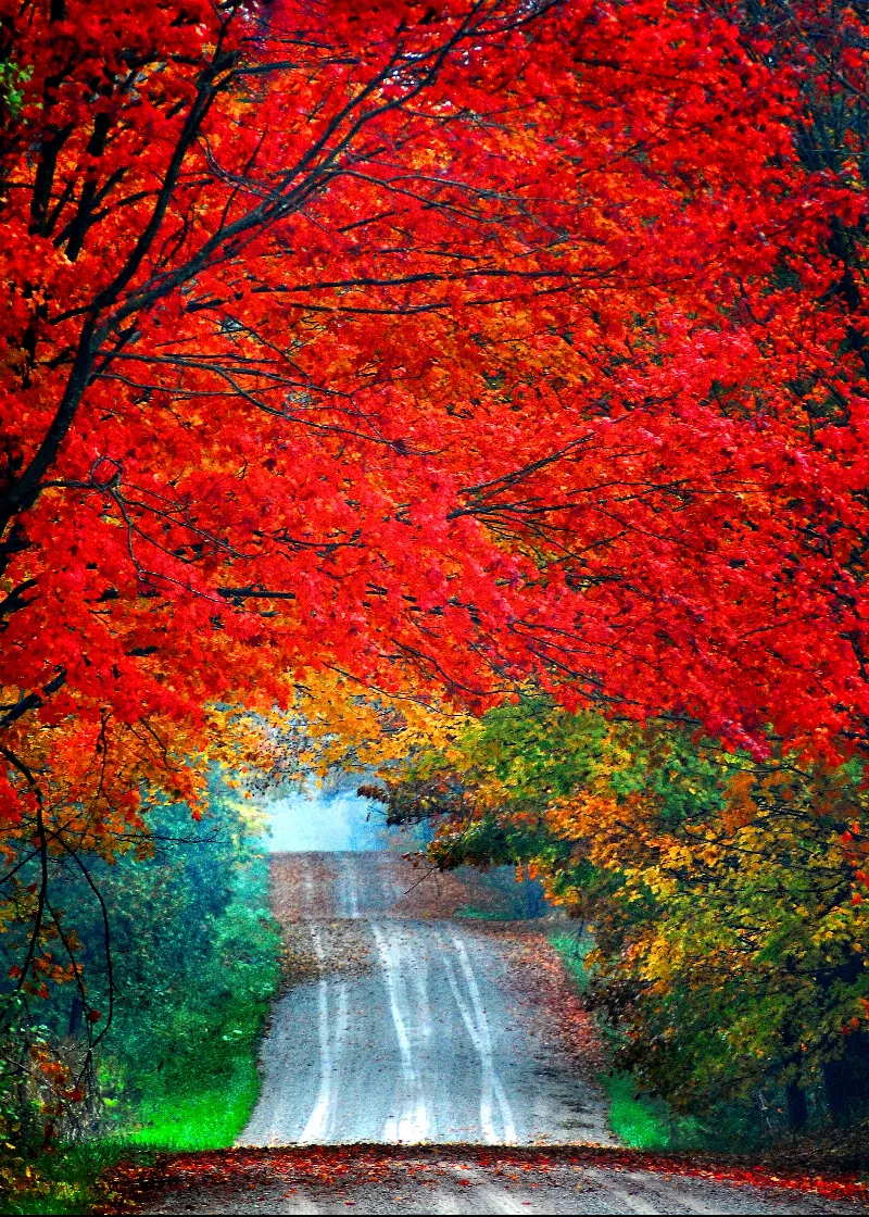 Scenic Landscapes photography in Bannockburn, Ontario