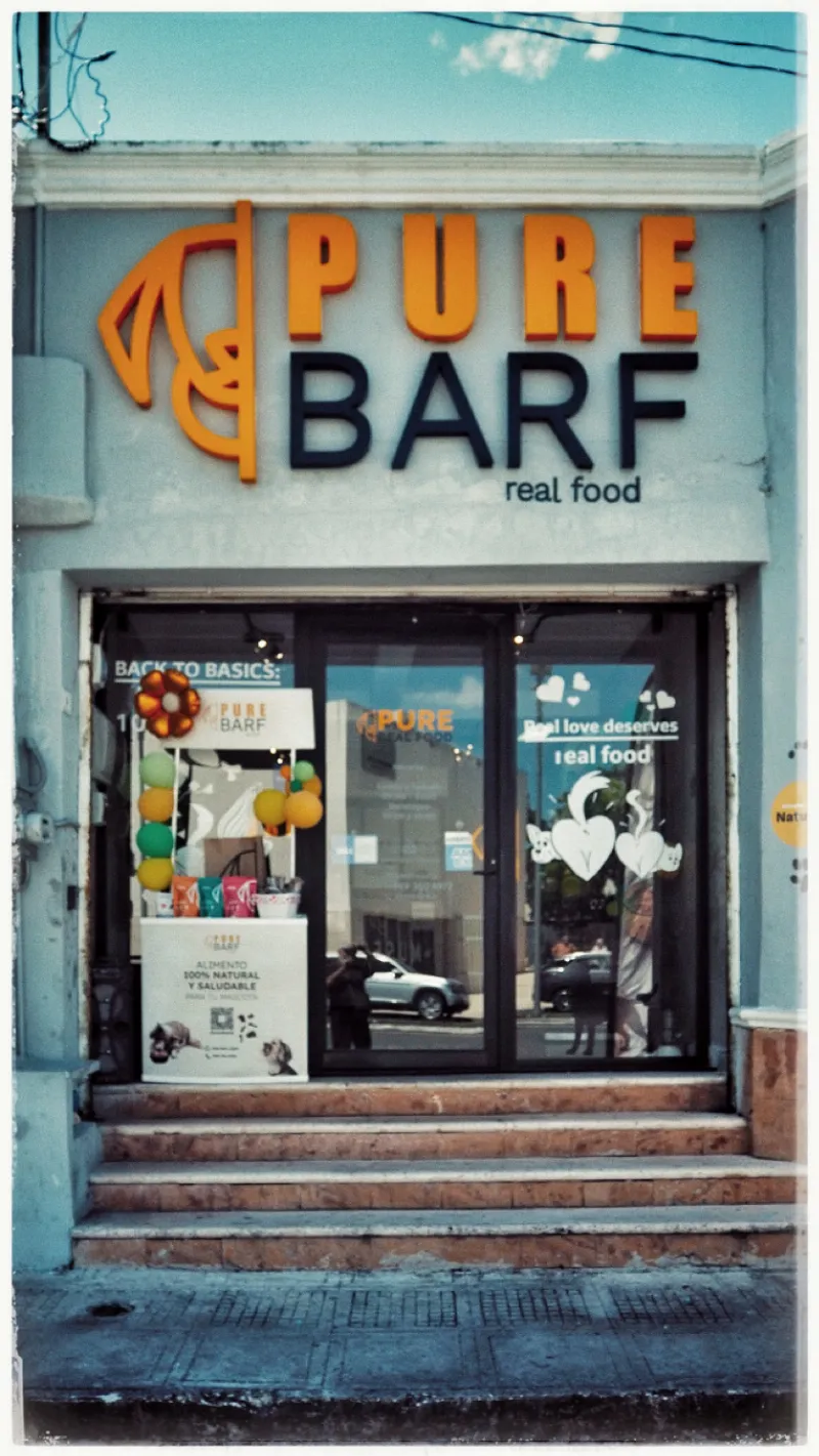 Walls Textures Signs photography in Merida