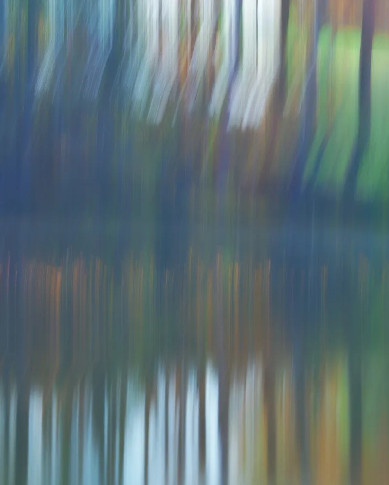 Abstract And Artistic photography in Benmiller, Ontario